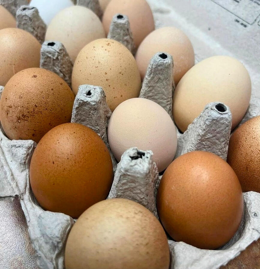 Untitled Green Reaper Farm's Eggs